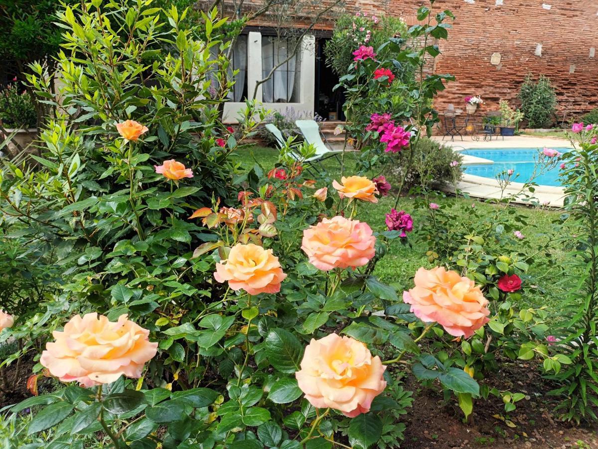 L'Arche De Moissac Bed and Breakfast Exteriör bild